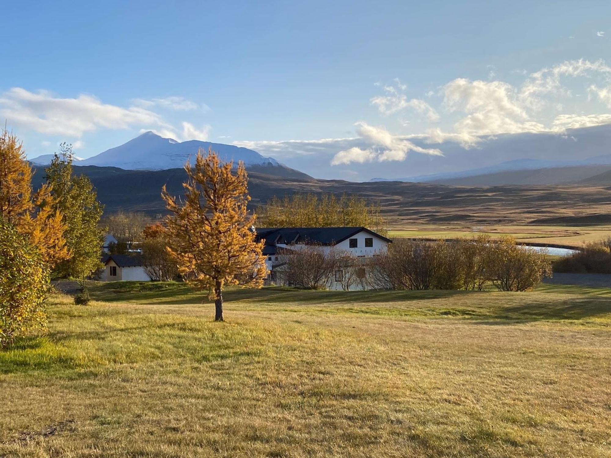 Bakkafloet Guesthouse Varmahlid  Kültér fotó